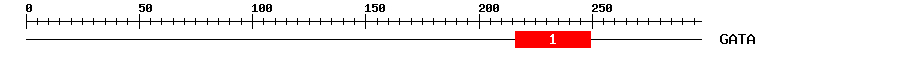 Signature Domain