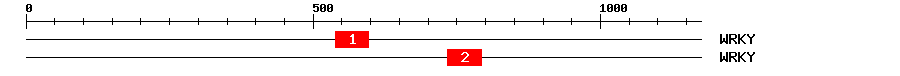 Signature Domain