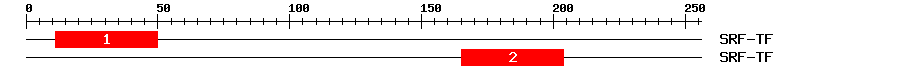 Signature Domain