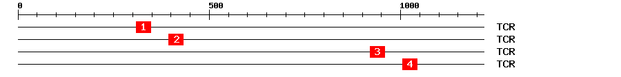 Signature Domain