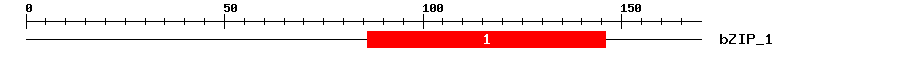 Signature Domain
