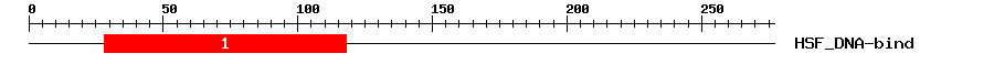 Signature Domain