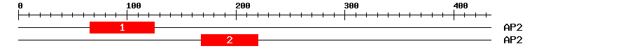 Signature Domain