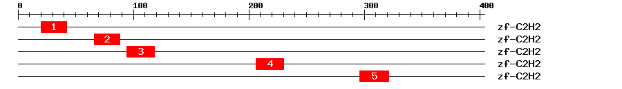 Signature Domain