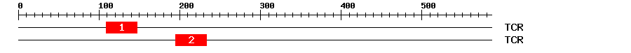 Signature Domain