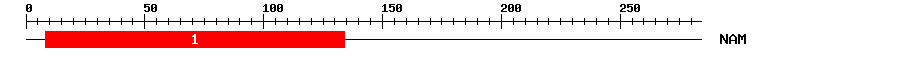 Signature Domain