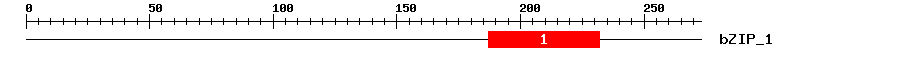 Signature Domain