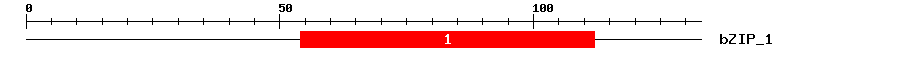 Signature Domain