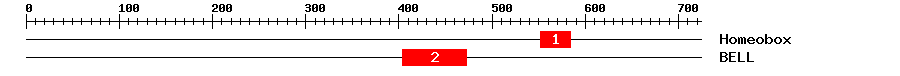 Signature Domain
