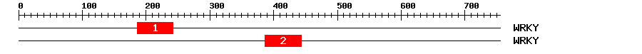 Signature Domain