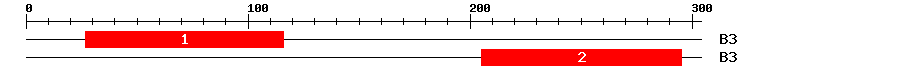 Signature Domain