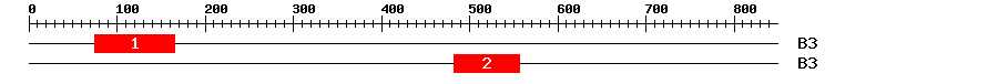 Signature Domain