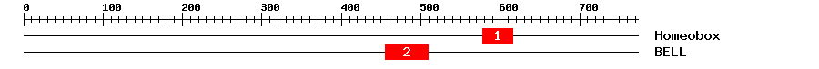 Signature Domain