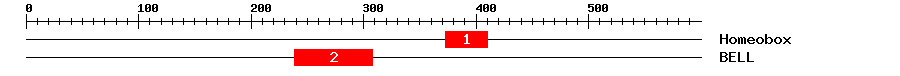 Signature Domain