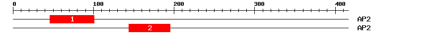 Signature Domain