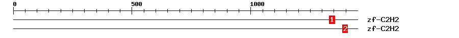 Signature Domain