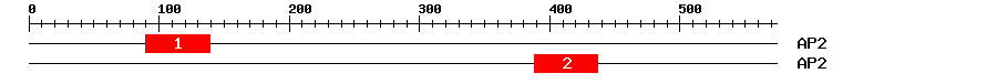 Signature Domain