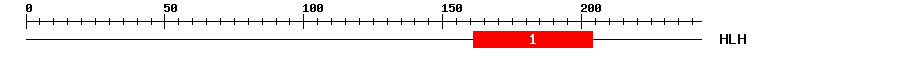 Signature Domain