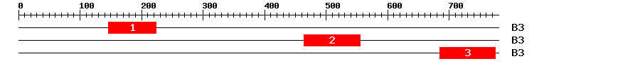 Signature Domain