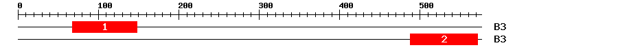 Signature Domain