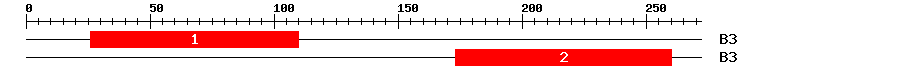 Signature Domain