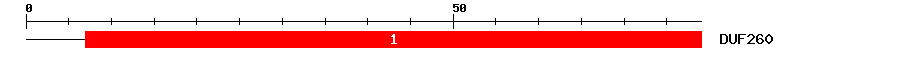 Signature Domain