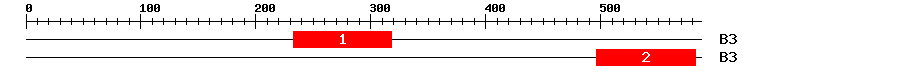 Signature Domain