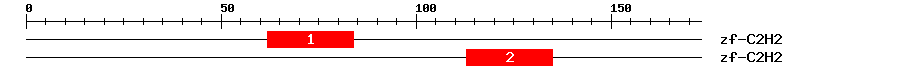 Signature Domain