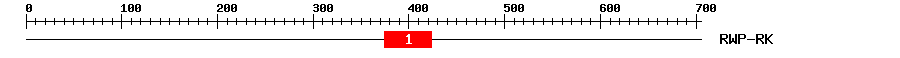 Signature Domain