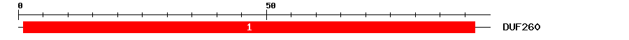 Signature Domain