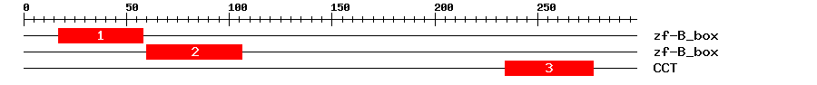 Signature Domain
