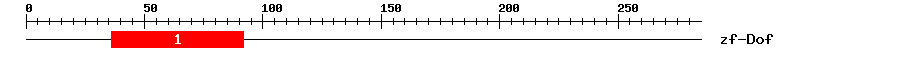 Signature Domain