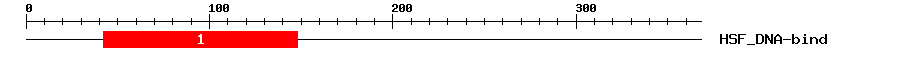 Signature Domain