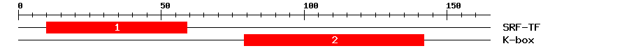 Signature Domain