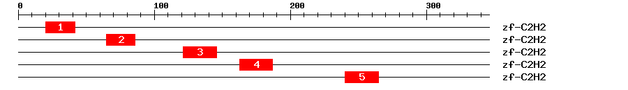 Signature Domain