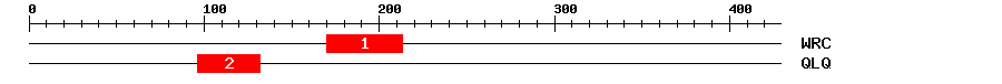 Signature Domain