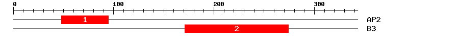 Signature Domain