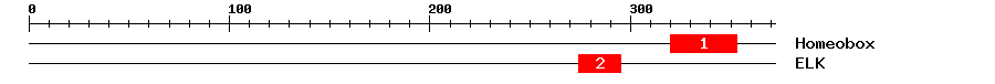 Signature Domain