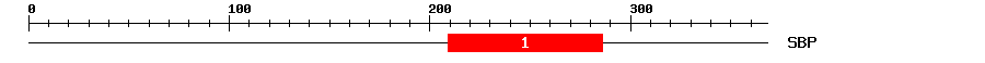 Signature Domain