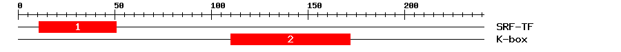 Signature Domain