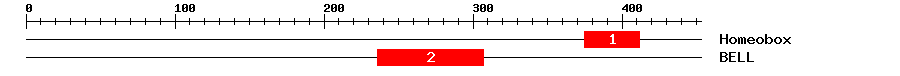 Signature Domain