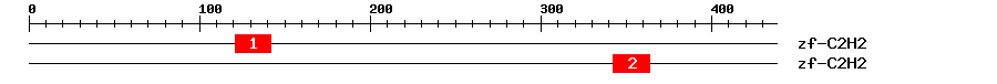 Signature Domain