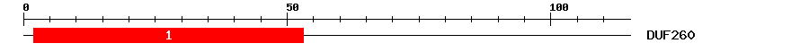 Signature Domain