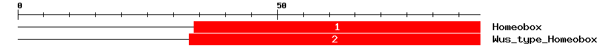 Signature Domain
