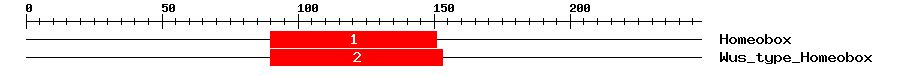 Signature Domain
