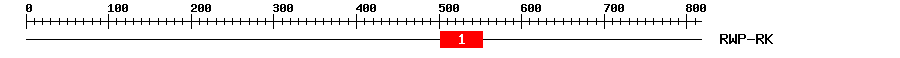 Signature Domain