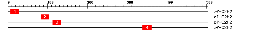 Signature Domain