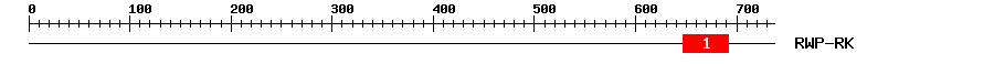 Signature Domain