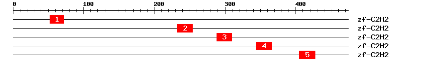 Signature Domain