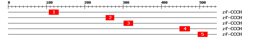 Signature Domain